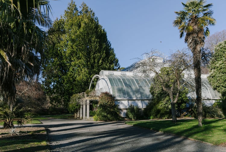 The old greenhouse in the centre of the Christchurch botanical gardens is surrounded by tall green trees.