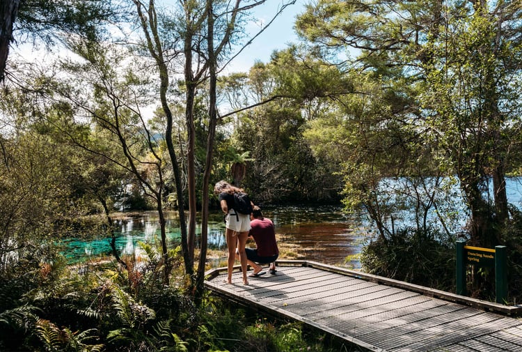 Two people leaning towards the water at Te Waikoropupū Springs.