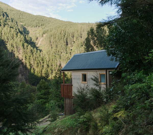 A view of Maitai Whare Iti cabins nestled within native bush in Nelson.