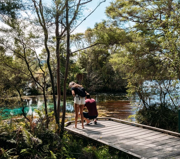 Two people leaning towards the water at Te Waikoropupū Springs.