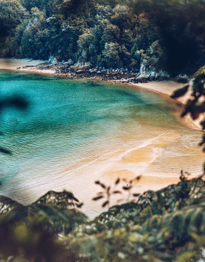 A view of a beach at the Abel Tasman from above.