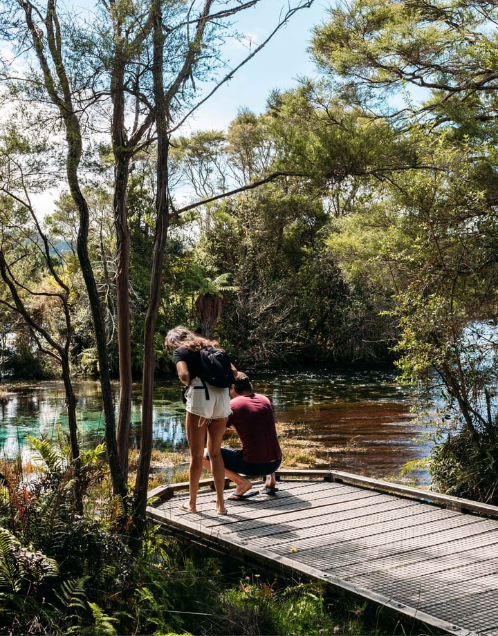 Two people leaning towards the water at Te Waikoropupū Springs.