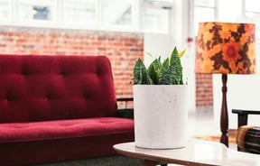 Red couch on a vintage couch by a plant.