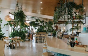 The wood interior of Del Mar with hanging plants from the celling.