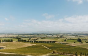 A view of the Canterbury plains on a sunny day.