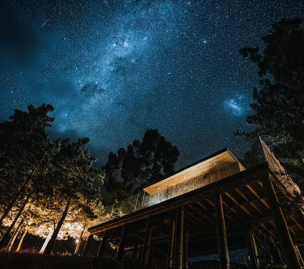 Looking up at a starry sky with Nest Tree Houses in the backdrop.