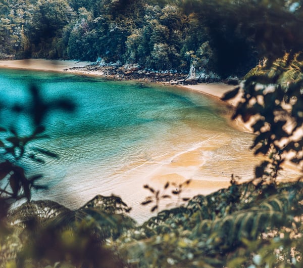 A view of a beach at the Abel Tasman from above.