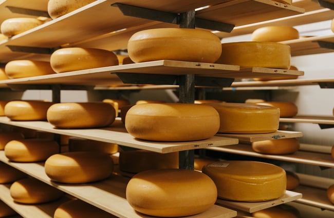 Close up of cheese circles on shelves.