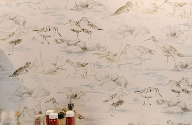 Close up of dotterills on the wallpaper at Blue Lake Eatery and Bar, Tekapo.