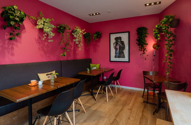 View of the pink walls with hanging plants inside Bonobo, Sumner.