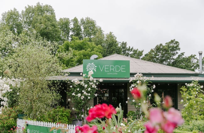 The entrance to Cafe Verde obstructed by lots of green bushes in Geraldine.