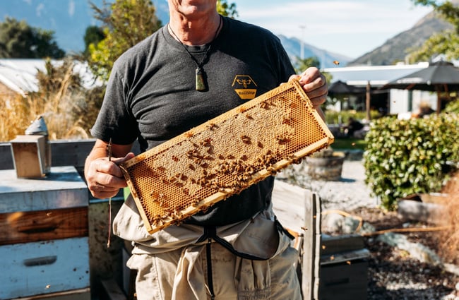 A man holding a part of a bee hive.