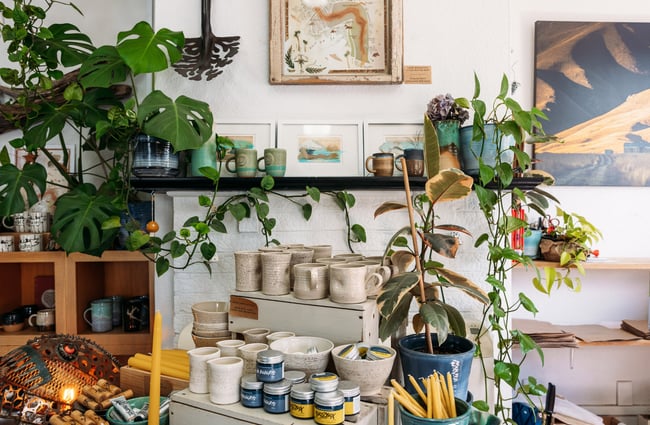 Ceramic items on display next to plants on wooden shelves.