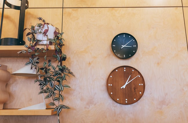 Two clocks hanging on the wall next to some floating shelves with a plant on them.