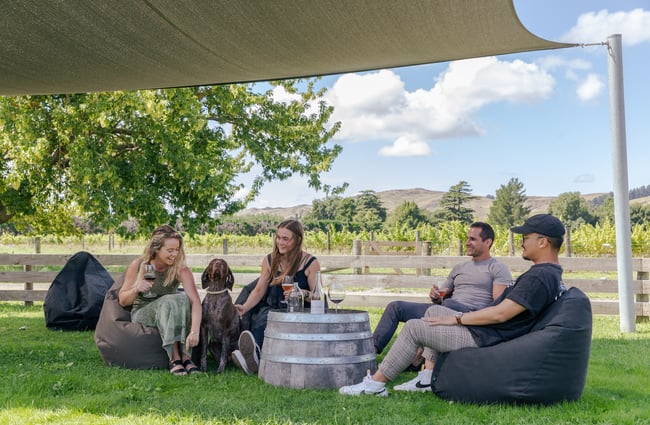 Two women and two men hold wine glasses as they sit on beanbags underneath a shade sail in the outdoor dining area, the women patting a brown dog, at Greystone Wines