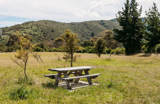 Picnic table in the middle of a field in Kaitoke Regional Park