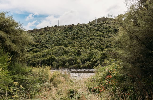 Kaitoke Regional Park river running between the green hills