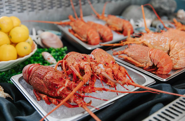 Lobsters on display in the fridge at Karaka Lobster.