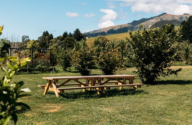 Picnic tables in a grassy field on a sunny day.