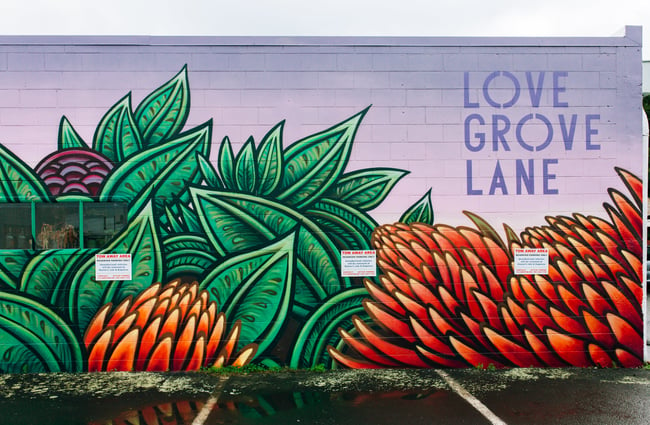 The colourful mural at Lovegrove Lane, Hamilton.
