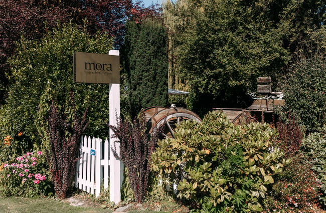 The lush green entrance to Mora Wines.