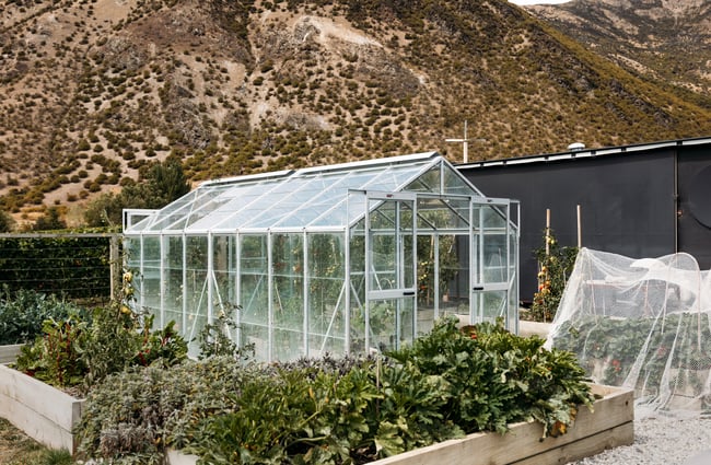 A glasshouse in a winery on a cloudy day.