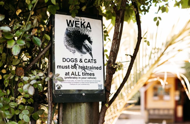 A Weka Recovery Zone sign on a lamp post.
