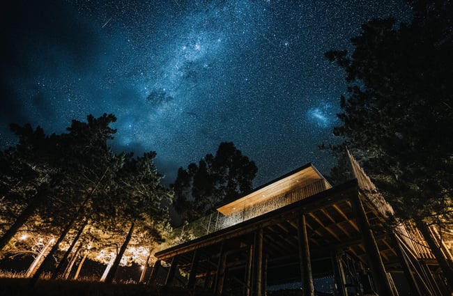 Looking up at a starry sky with Nest Tree Houses in the backdrop.