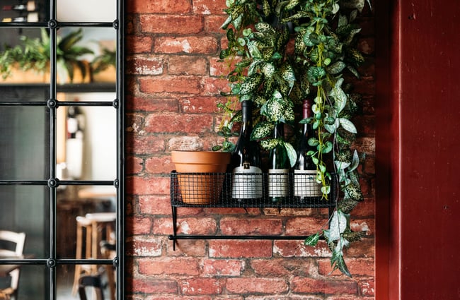A close up of three pot plants on a brick wall.