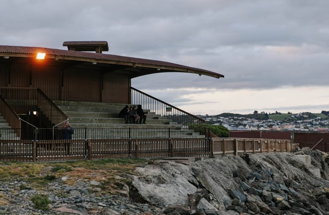 Viewing area for the blue penguins in Ōamaru