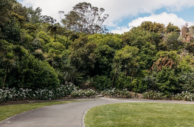 Grassy areas and native trees in Percy Scenic Reserve