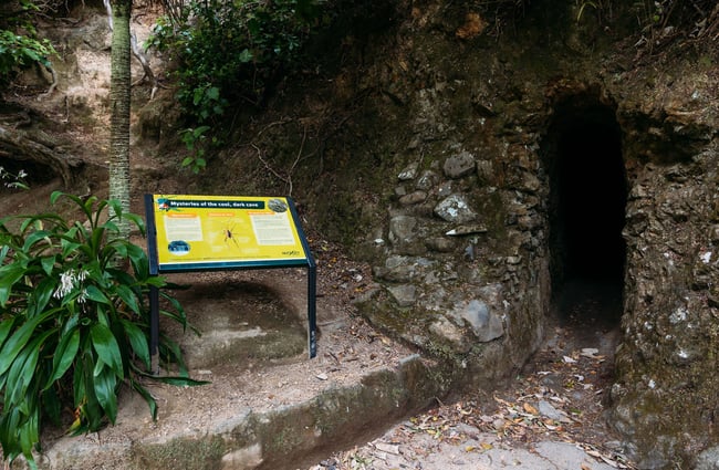 Opening of a small dark cove with informational sign about bugs standing next to it