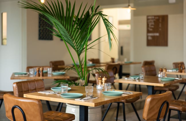 A large fern next to tables in a large restaurant.