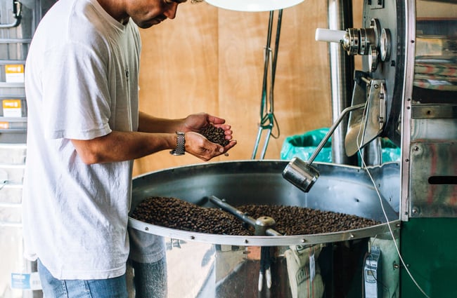 Tane holding roasted coffee beans at Proof and Stock, New Plymouth.