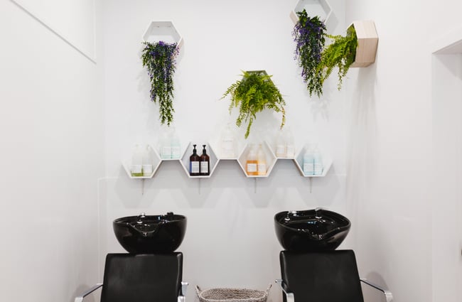 Two chairs and head basins at Refuge Hair Boutique, Wellington.