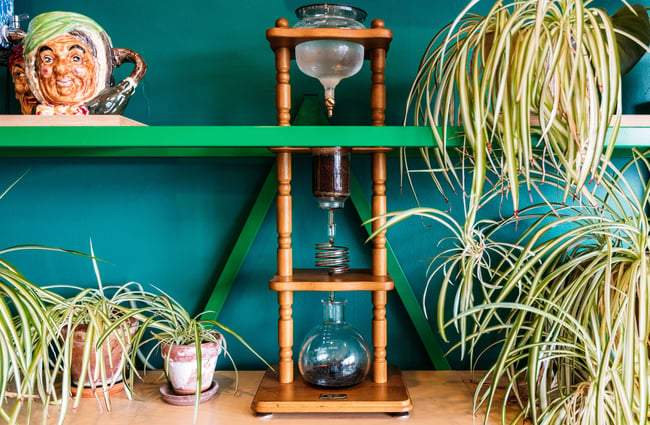 Coffee drip on shelf next to green plants and odd ceramics