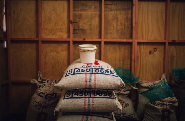 Sacks of coffee beans stacked.