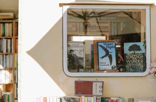 Books in a window on a sunny day.