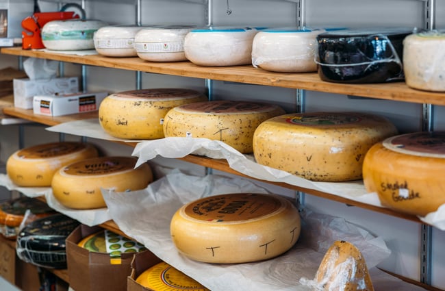 Wheels of cheese on shelf