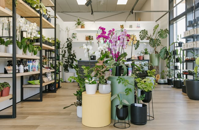 Plant stands in the middle of the room with green and purple potted plants.
