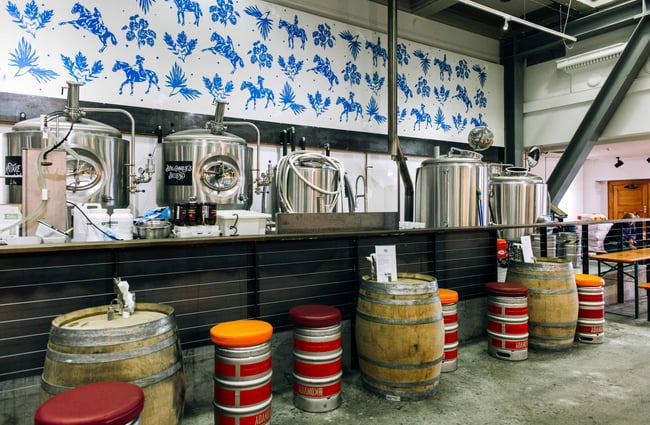 Beer brewing equipment at Three Sisters Brewing, New Plymouth.