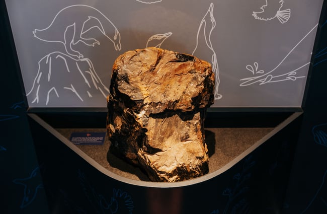 A large rock on display.