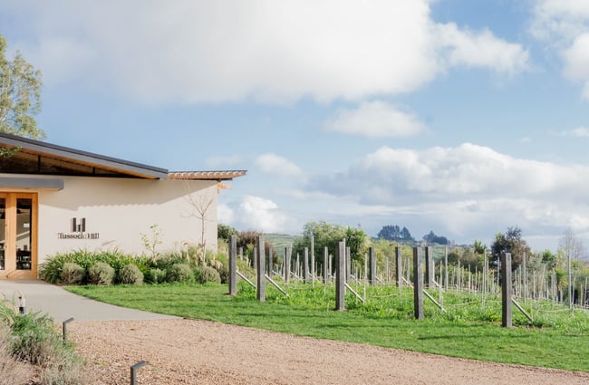 The entrance of Tussock Hill Vineyard restaurant, with grape vines overlooking the rolling hills of Christchurch.
