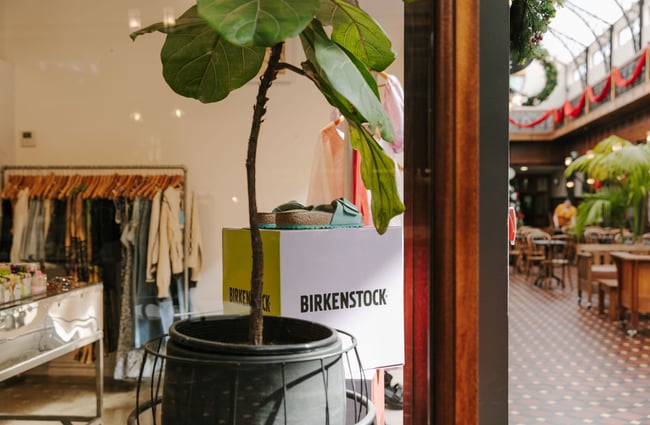 A close up of a potted plant and a Birkenstocks sign in the window of Uncommon Christchurch.