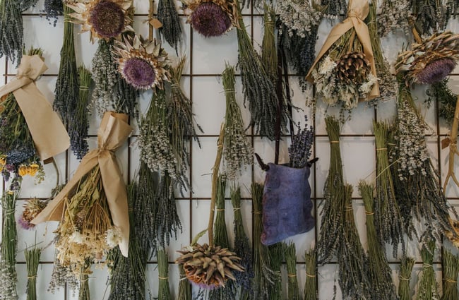 A wire rack on a wall with hanging dried flower bouquets.