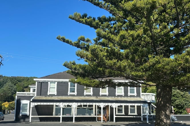 Front view of Kaikōura Boutique Hotel behind a huge tree.
