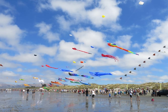 Kites flying in a bright blue sky.