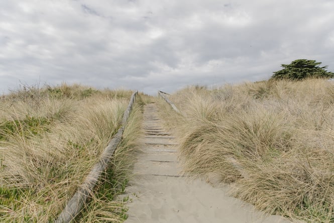 The sandy dunes of New Brighton beach.