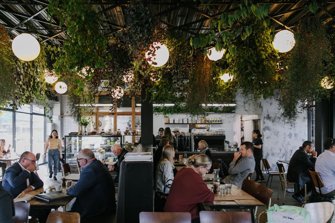 Inside a busy cafe in Christchurch with lots of customers drinking coffee under a green ceiling of plants