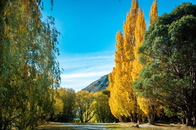 The Waitaki Valley on a sunny Autumnal day.